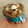 1000011340.webp Summer Breeze – Mushroom Buddy