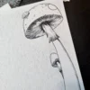 Gloomy Mushrooms – Blank