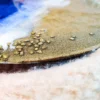 https3A2F2Fi.etsystatic.com2F113947292Fr2Fil2Fe7aef62F43751884282Fil_fullxfull.4375188428_lm8l.webp Beach Resin Palette