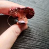 Mushroom Companion Keychain