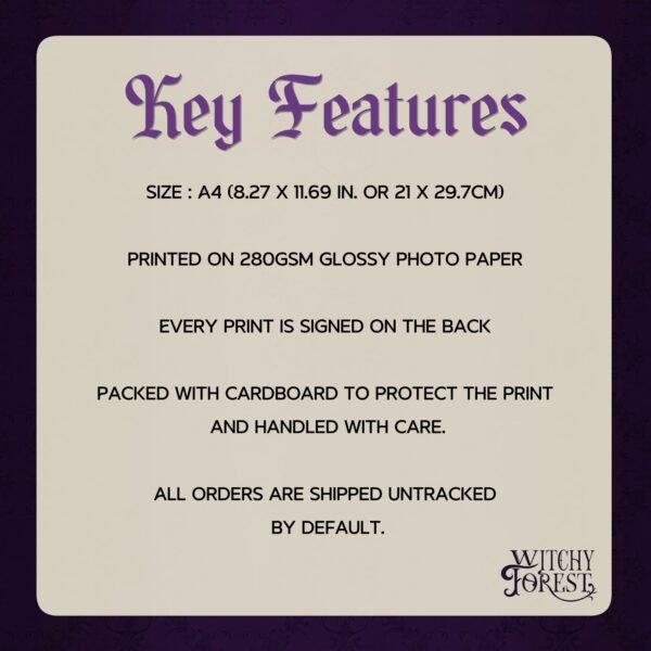 keyfeaturesartprintA4.jpg CTM – The Nutcracker
