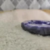 Swimming in Purple Ashtray