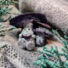 Mushroom Companion Keychain